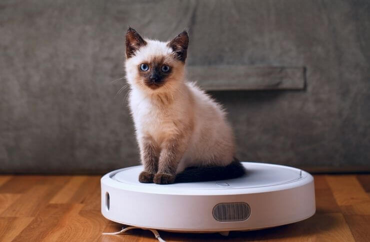 【2022年】猫と暮らしている人向けロボット掃除機のススメ