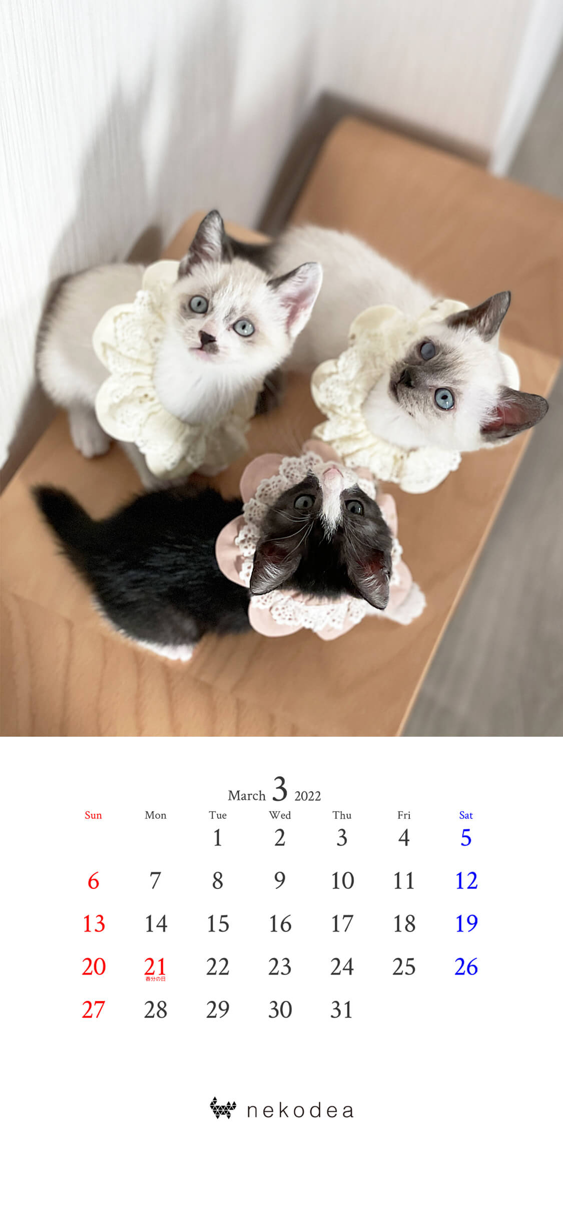 ダウンロード Nekodea