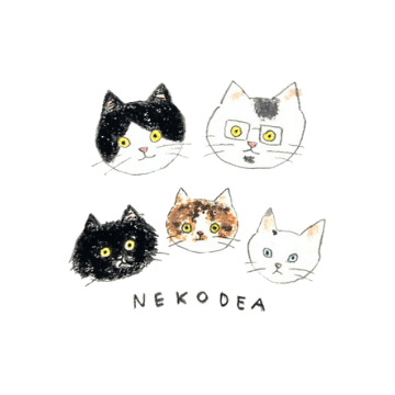 nekodea＊宿と猫