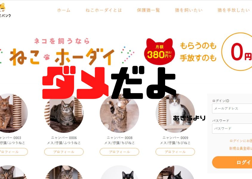 ねこホーダイ】猫がもらい放題、嫌になったら捨て放題の新サービススタート